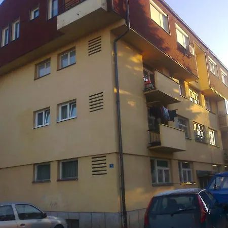 Jungic Hiseti